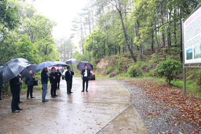 福建省林业局领导赴明溪县调研林业产品销售工作