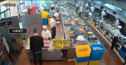 人大带你看后厨 天眼智能用药服务如何用信息技术守护餐桌安全