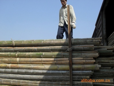 优质竹竿与竹子供应 文安县永兴竹品销售处的林业产品全解析