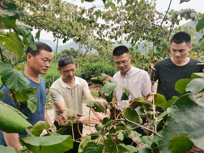 生态学院“品质农业科技服务团”——信息技术赋能丽水农业高质量发展