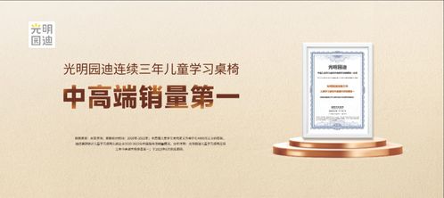 光明园迪年度报告 持续创新发展，坚守高端品质，引领信息技术服务